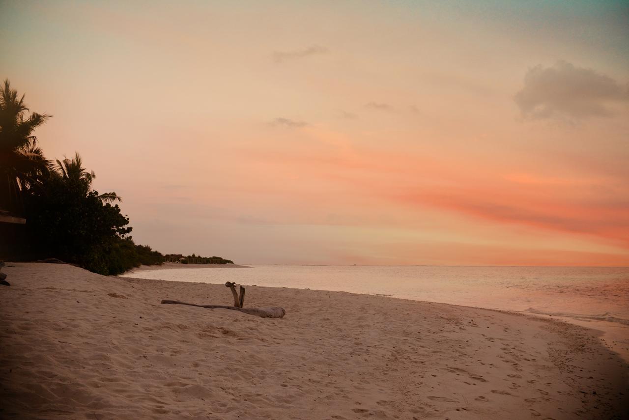 Hotel The Castaway Retreat à Feridhoo Extérieur photo